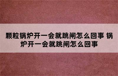 颗粒锅炉开一会就跳闸怎么回事 锅炉开一会就跳闸怎么回事